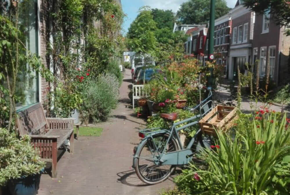 Buurtnatuur