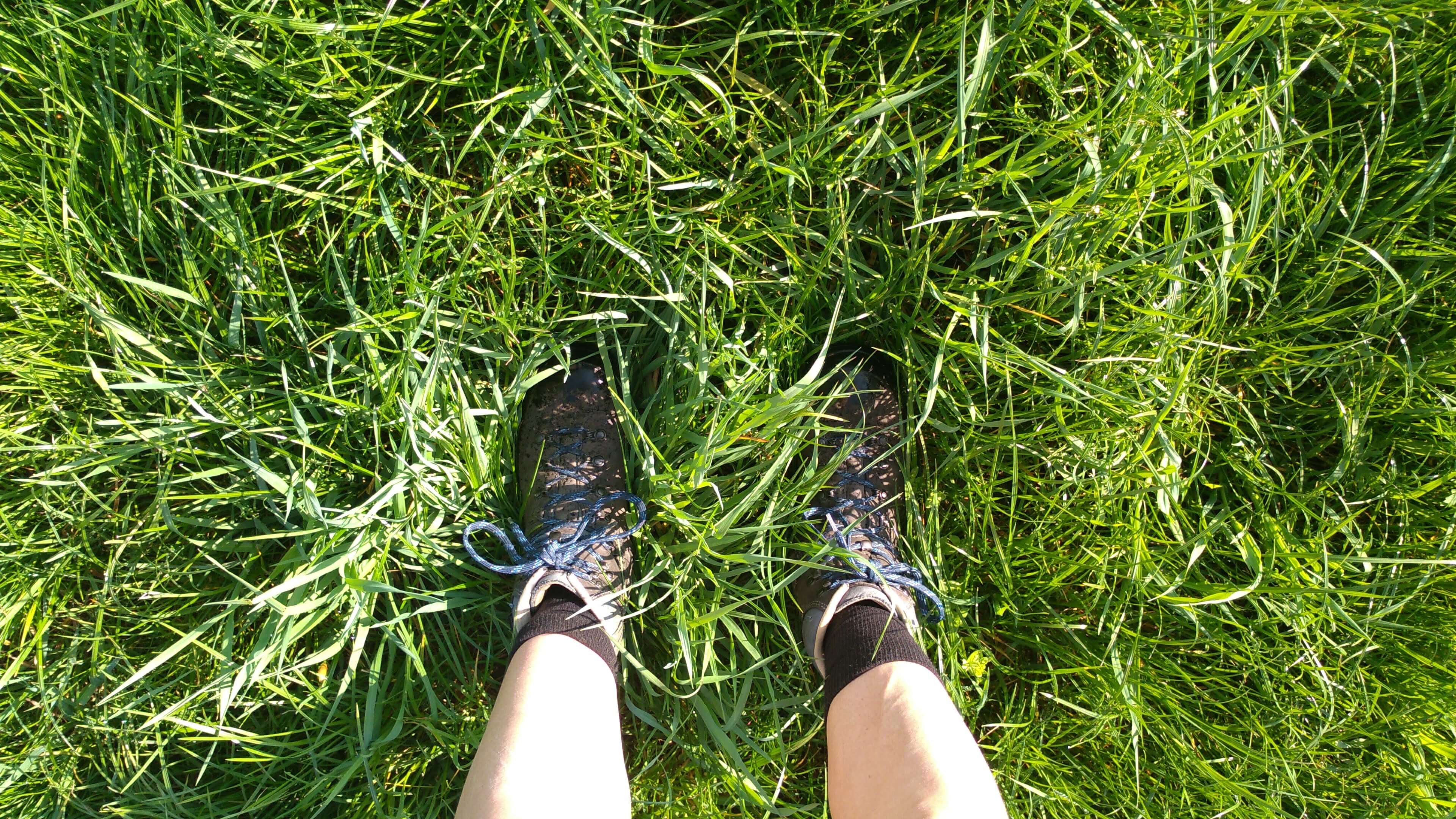 schoenen gras