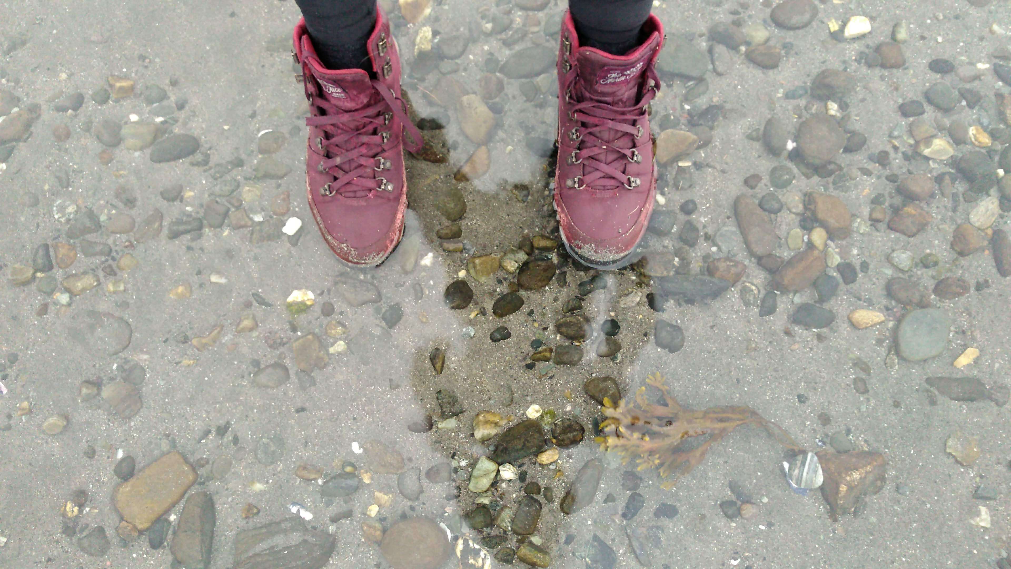 losse veters water