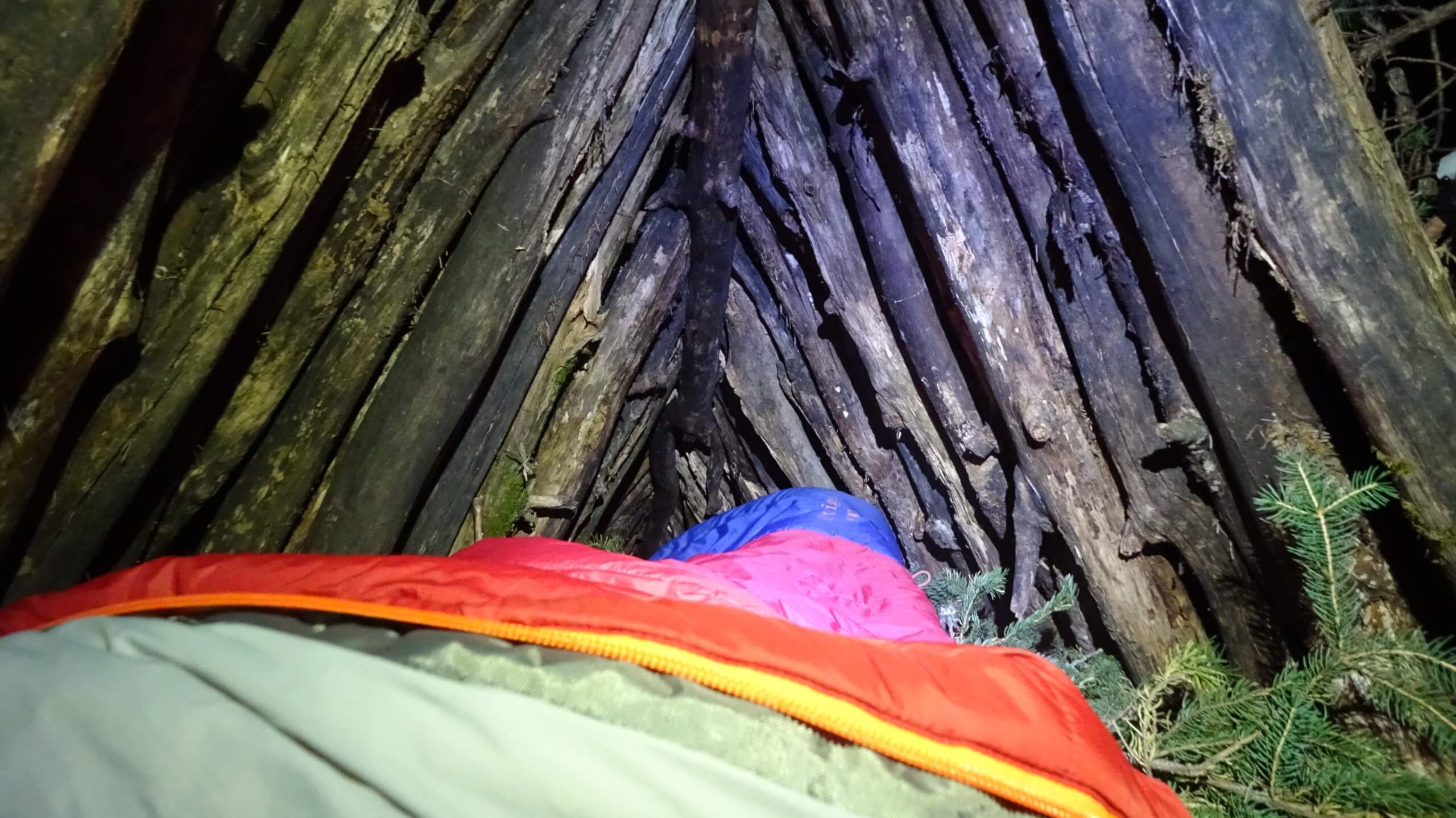 ll bean in shelter