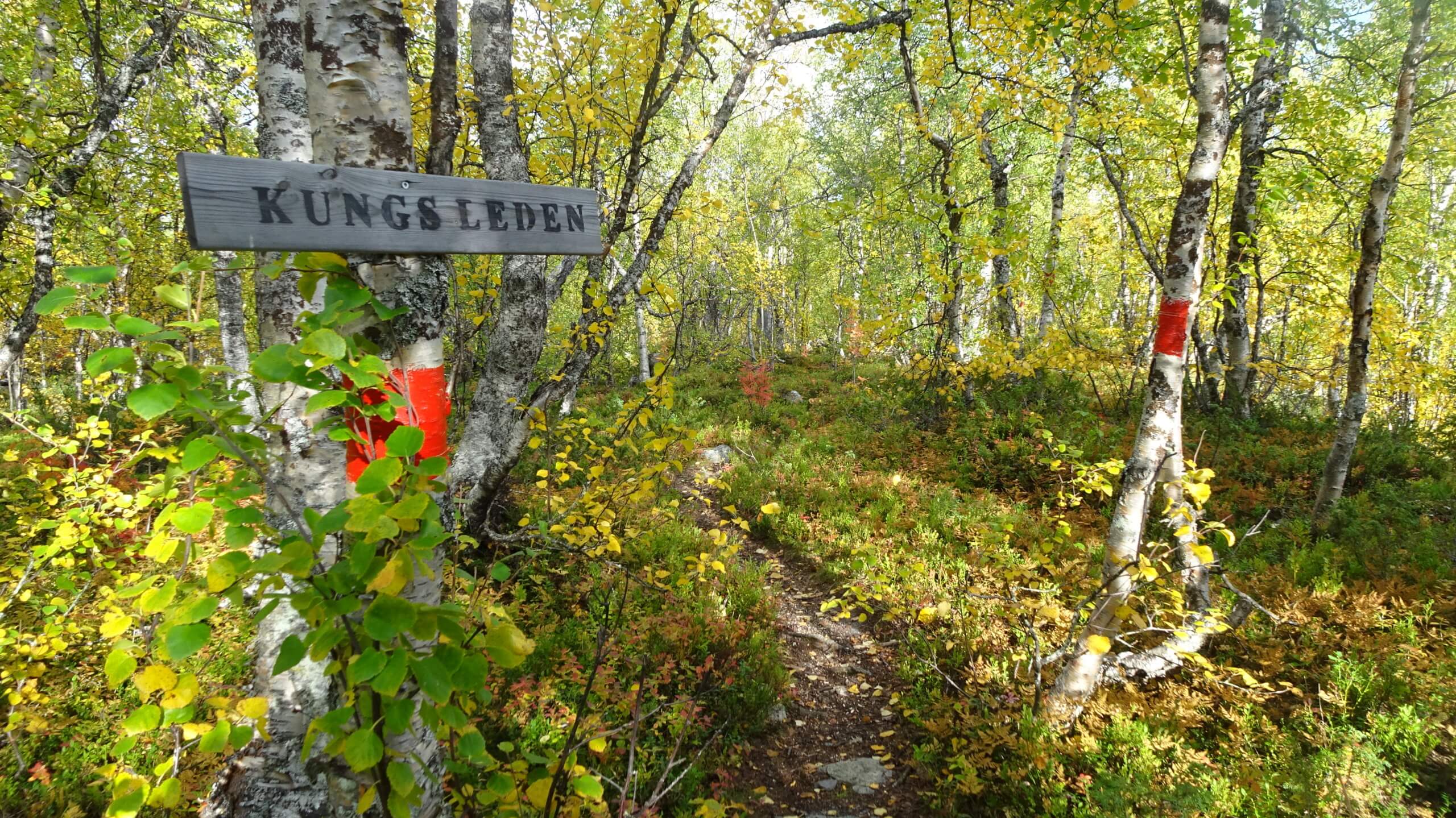Kungsleden