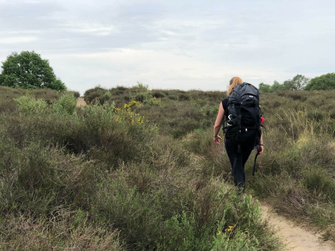 wandelaar in het veld