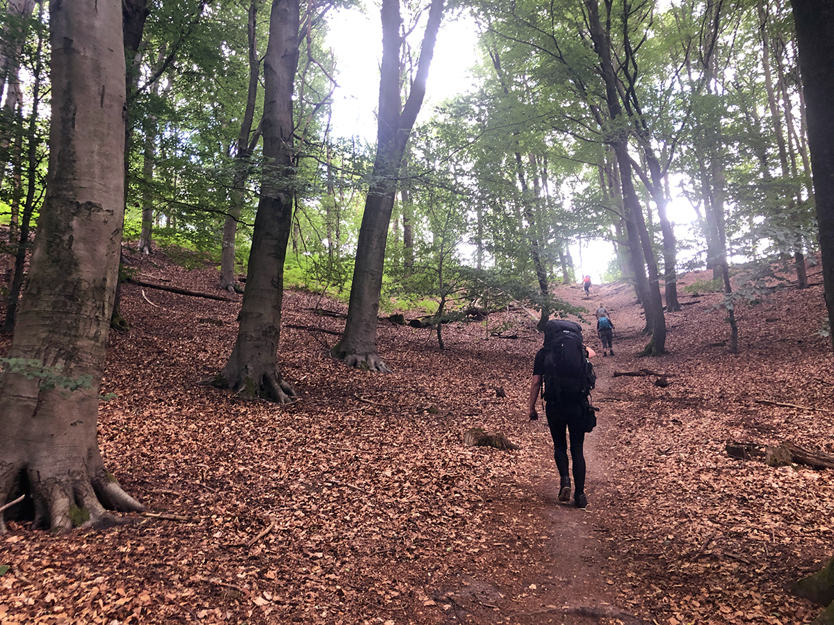 bergwandelen-in-nederland